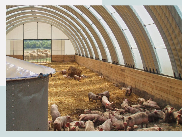 Строительство свинарников в Котельниках