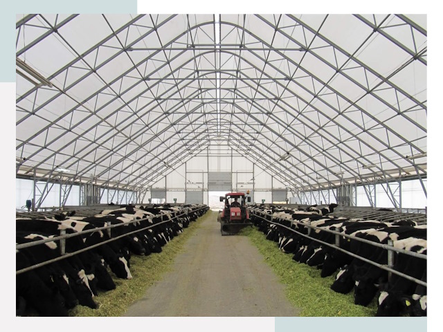 Тентовые коровники в Котельниках от 637 руб. - Надежно и доступно