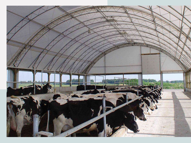 Тентовые коровники в Котельниках